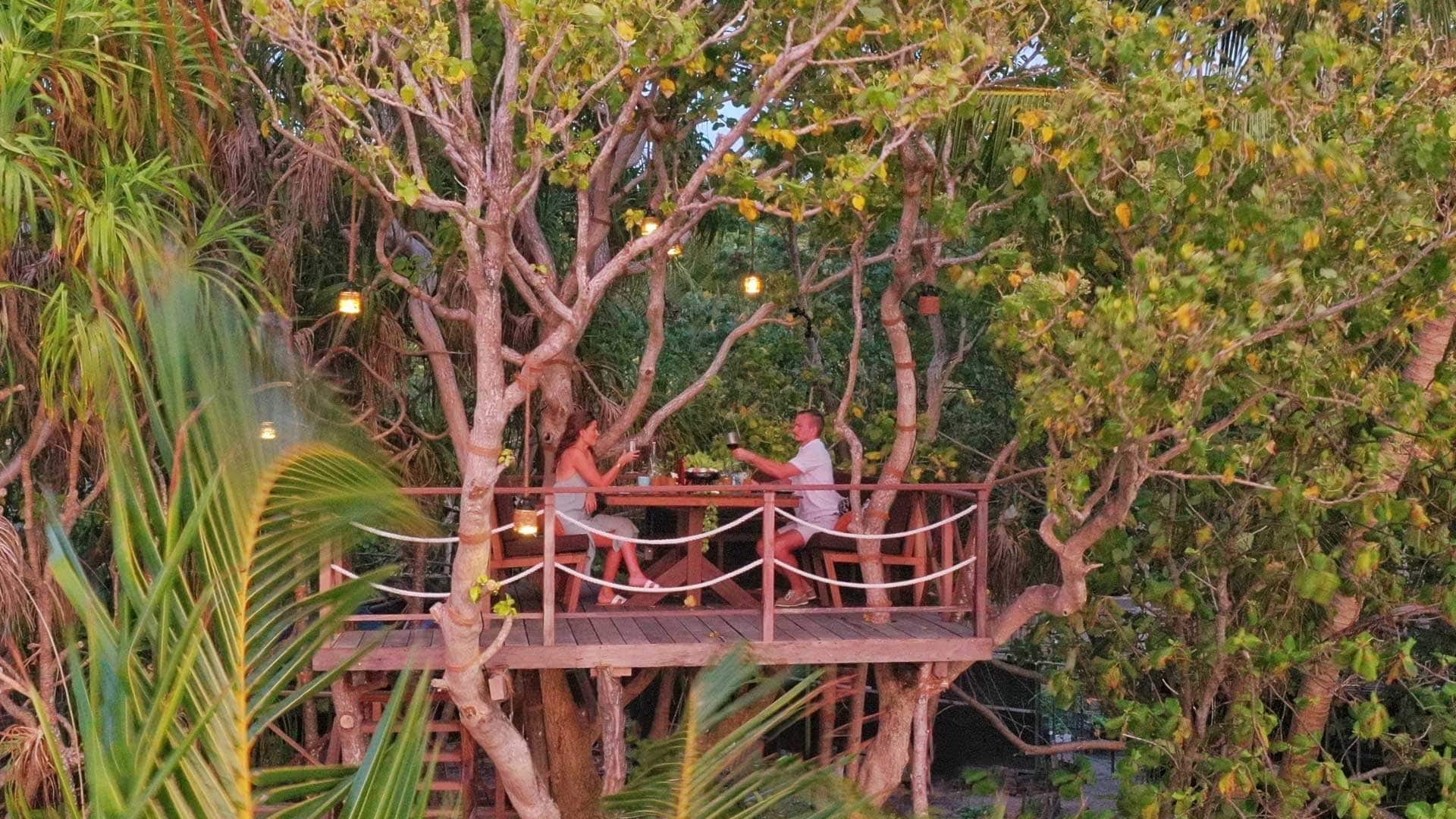 A couple eating and drinking in a tree at Park Hyatt Maldives Hadahaa.