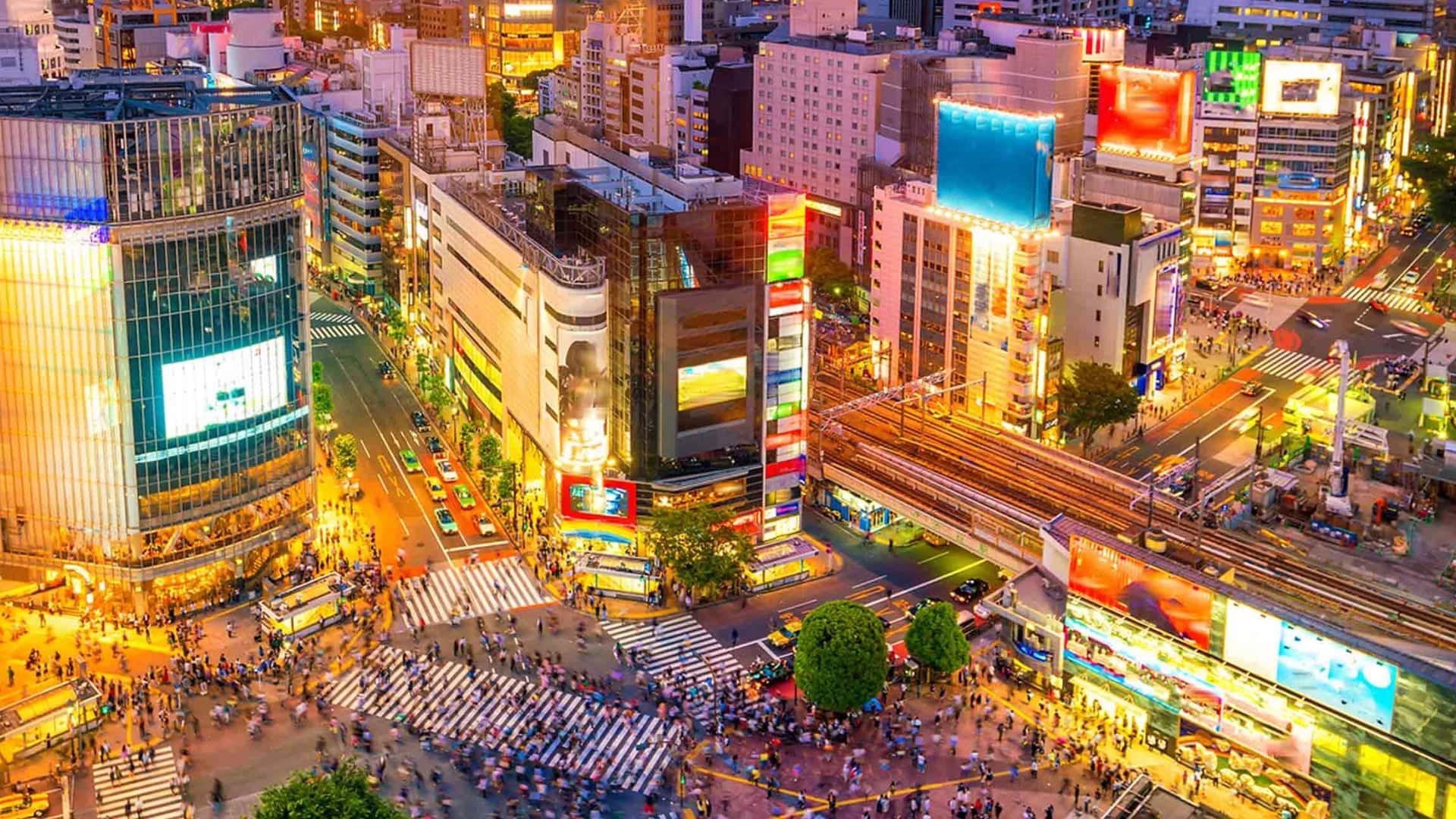 Shibuya Crossing the worlds bussiest street crossing in Tokyo.