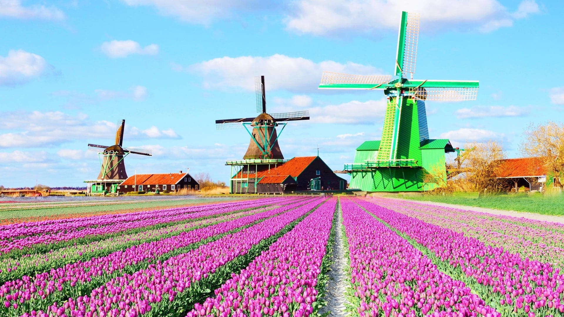 Destinations Articles - Amsterdam Travel Guide