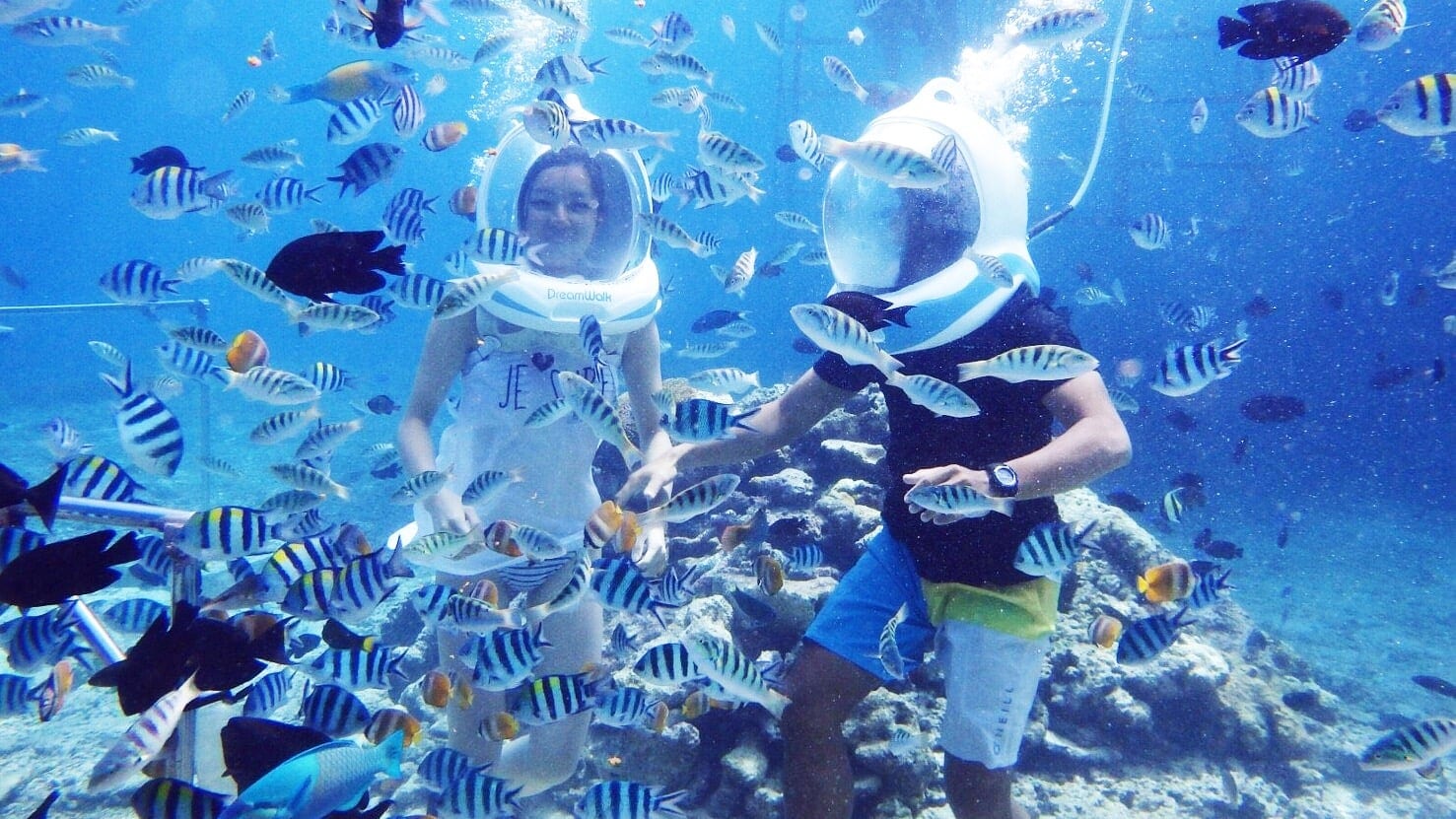 Destinations Articles - Bali Travel Guide