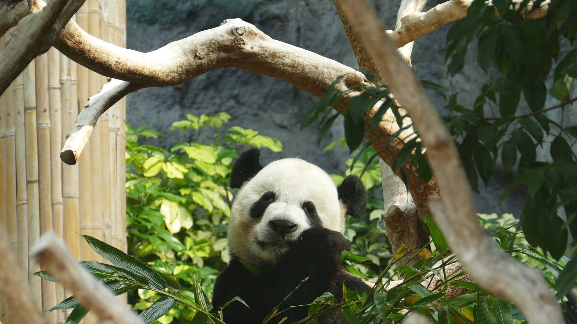 Destinations Articles - Macau Travel Guide