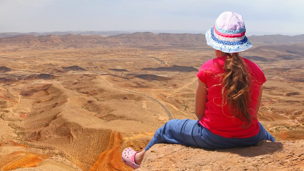 Airline review Sustainability - EL AL Israel Airlines - 0