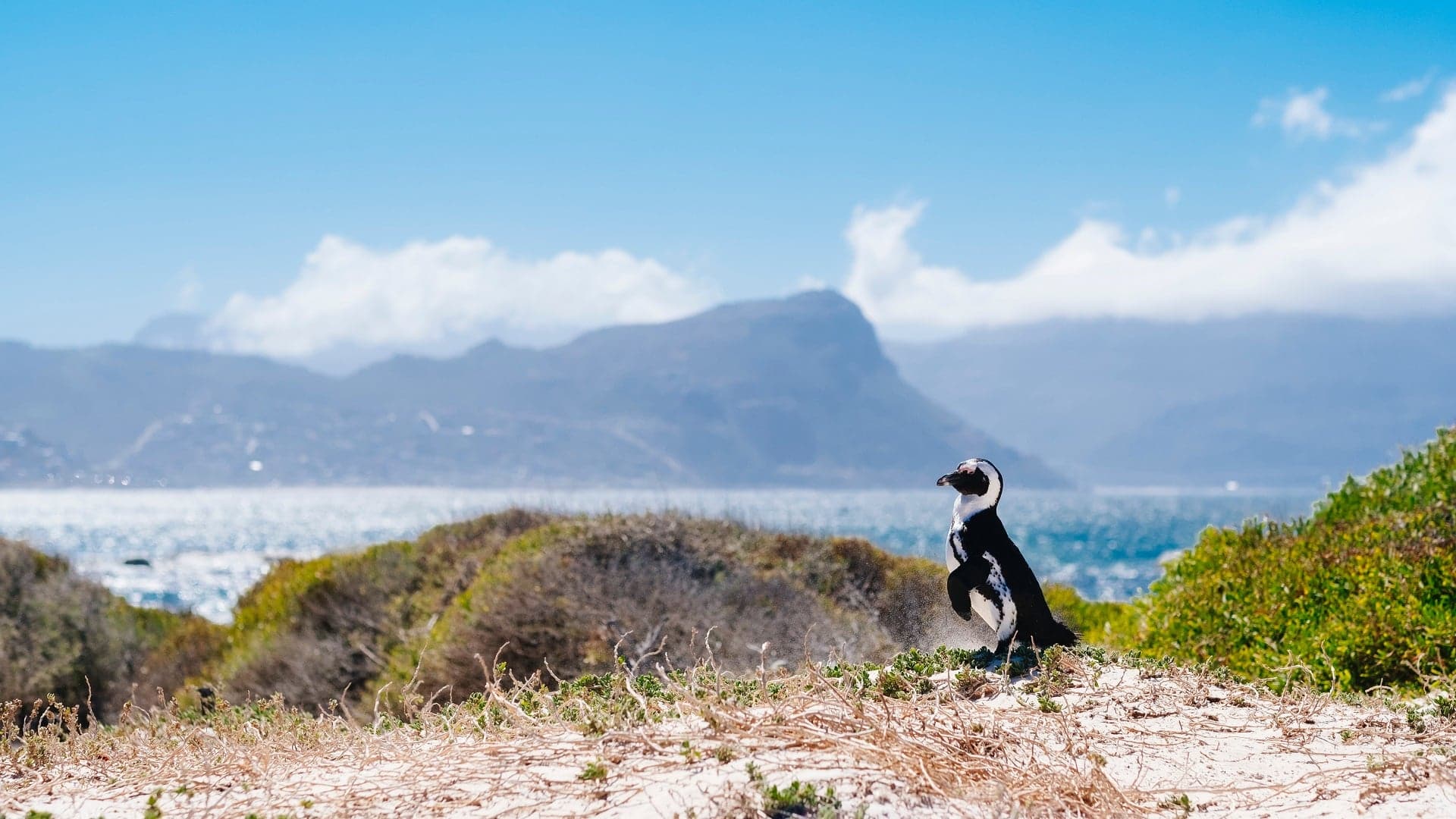 Destinations Articles - Cape Town Travel Guide
