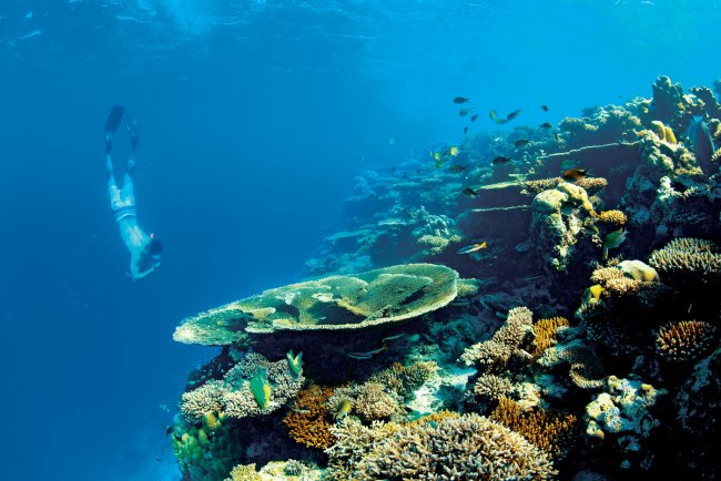 Laid-back luxury in the Maldives - 4