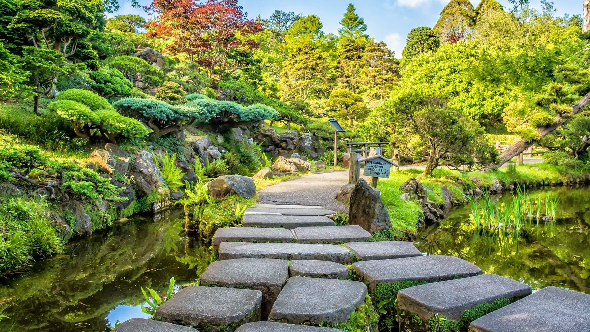 Stone bridge with watery lake, post, and a green forest at The Golden Gate Park -San Francisco.
