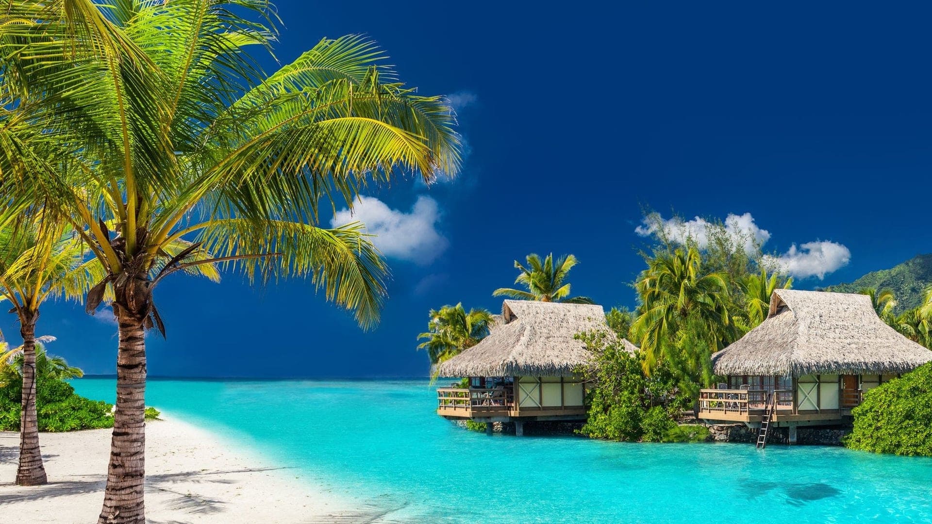 Destinations Articles - Fiji Travel Guide