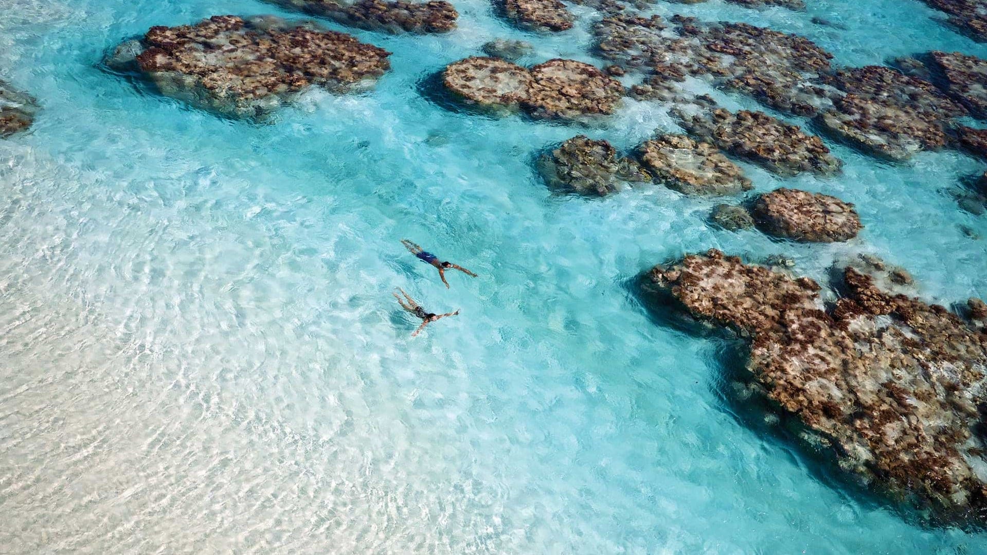 Hotel review What We Love' - The Brando - 1