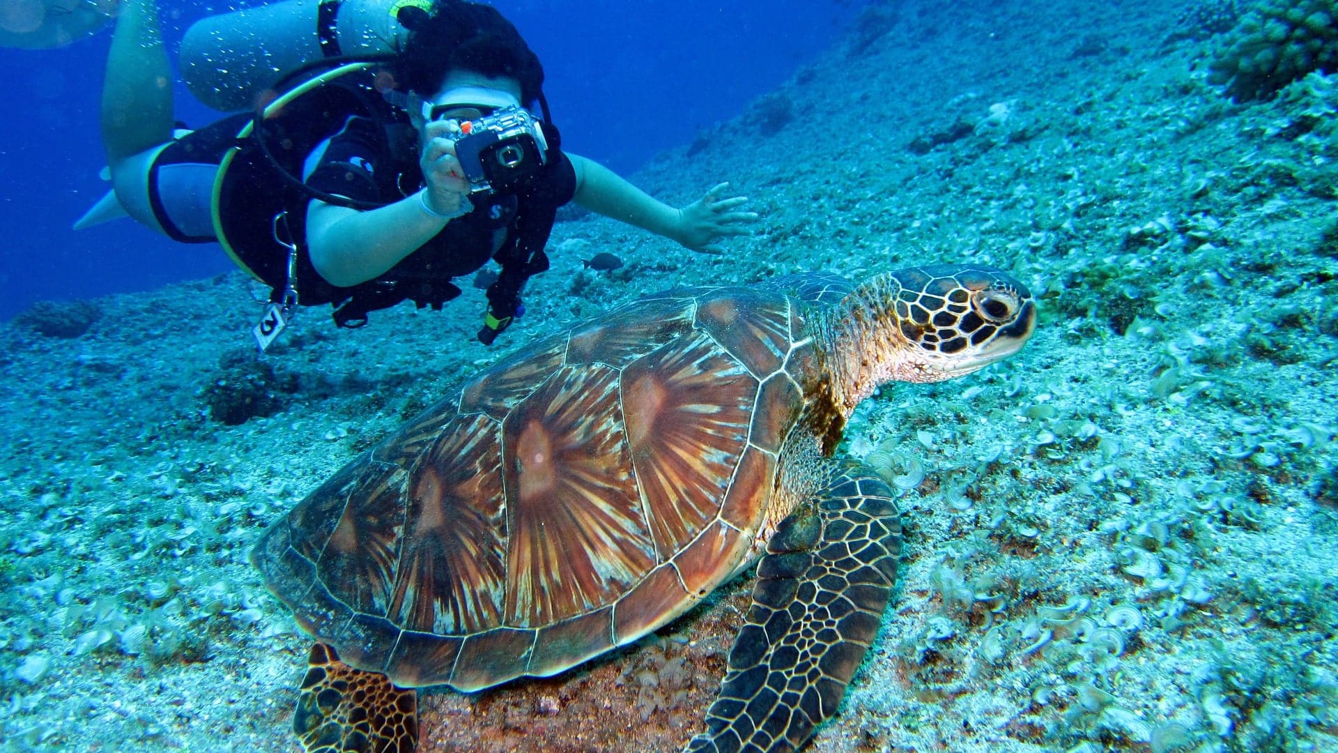 Destinations Articles - Crete Travel Guide