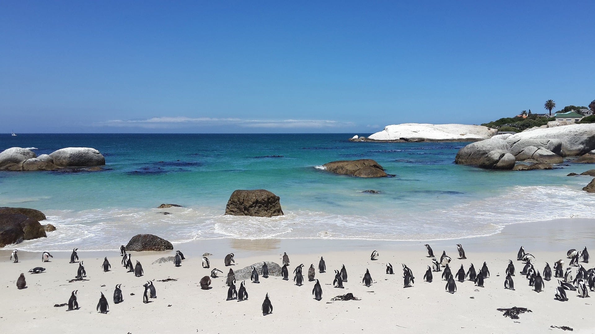 Destinations Articles - Cape Town Travel Guide