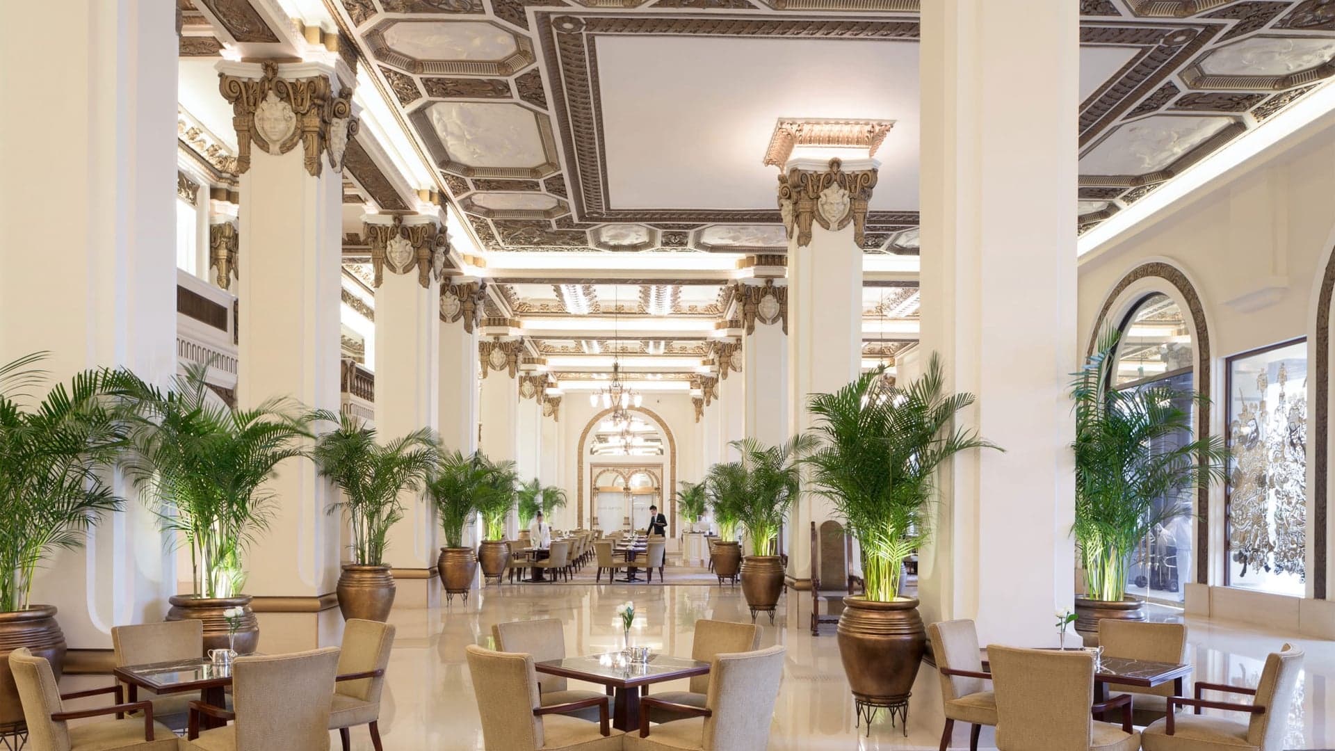Fresh dining area at The Peninsuala with white decor, plants, open windows and bright lightning in Hong Kong.