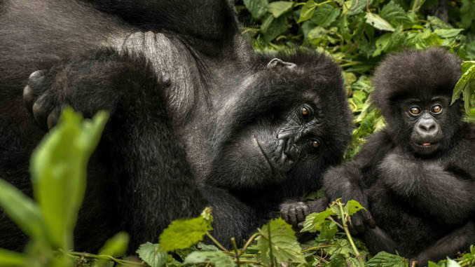 10 Of The Best Luxury Hotels Opening In 2018 - 3