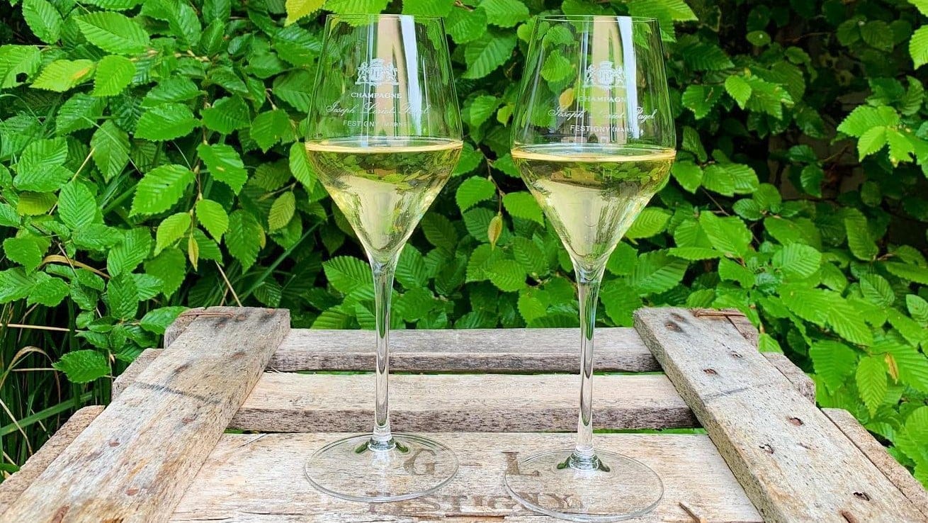 Airlines News - SAS upgrades Champagne offering to “Special Club”