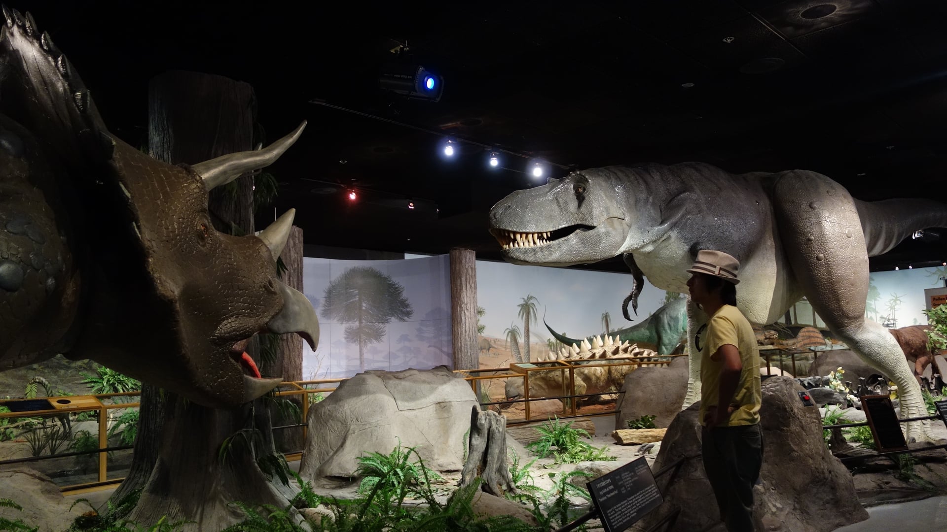 Destinations Articles - Las Vegas Travel Guide