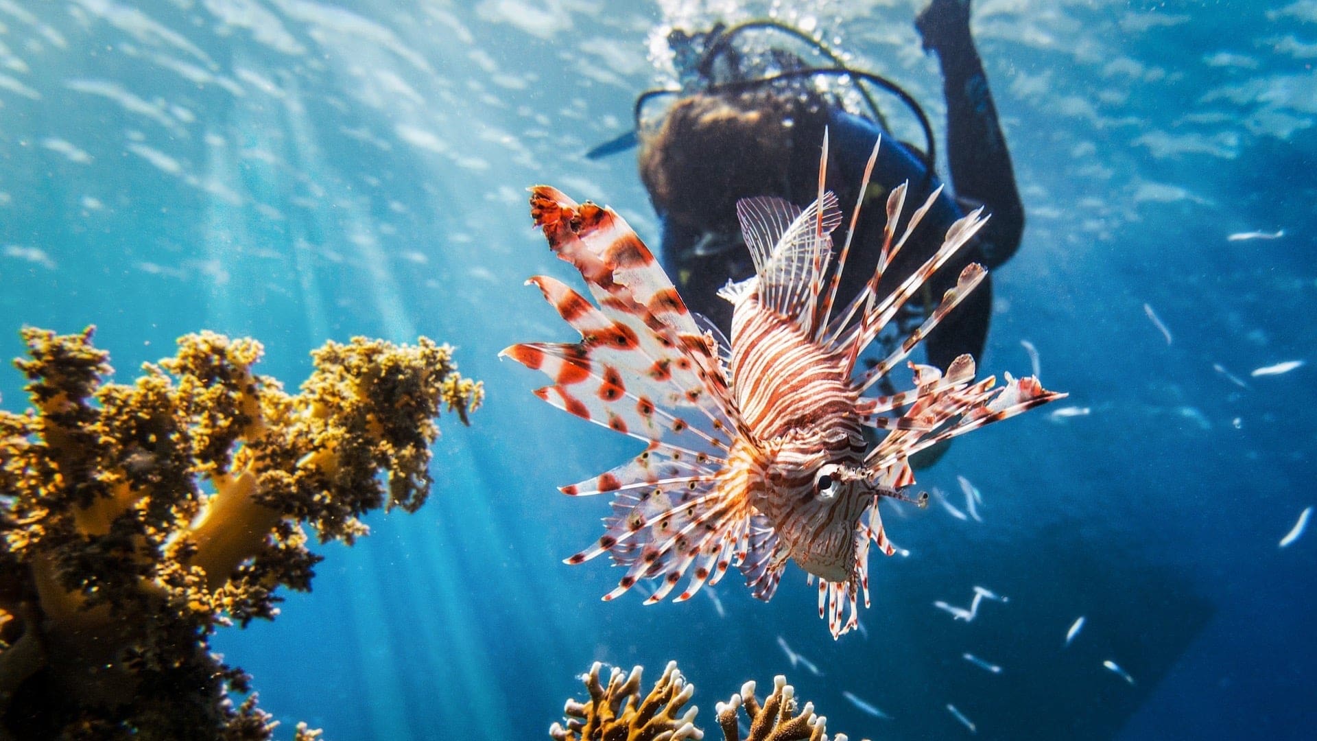 Destinations Articles - Fiji Travel Guide