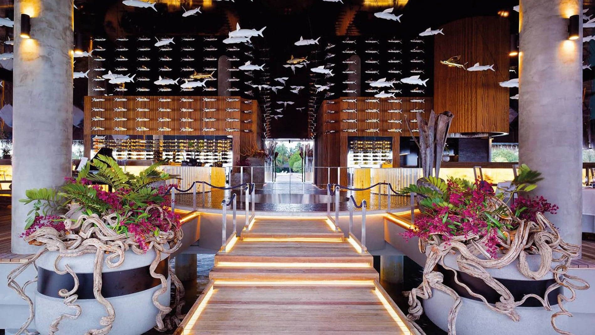 The Best Dining & Drinking Experiences in Maldives - Read the Businessclass review and find the best rates for LUX* South Ari Atoll