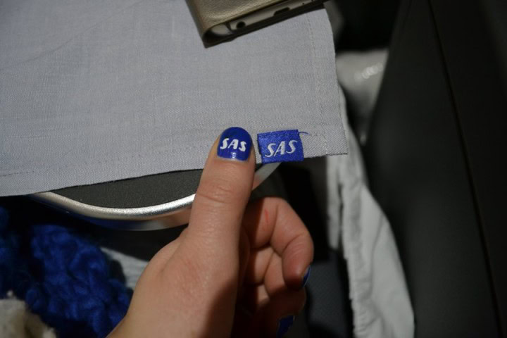 User review: New Business Class cabin SAS, Stockholm - Hong Kong - 29