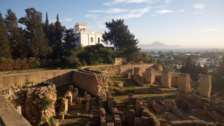 Why you should visit Tunisia this summer - the forgotten home of great olive oil, wine and sea-water spas - Colourful Past