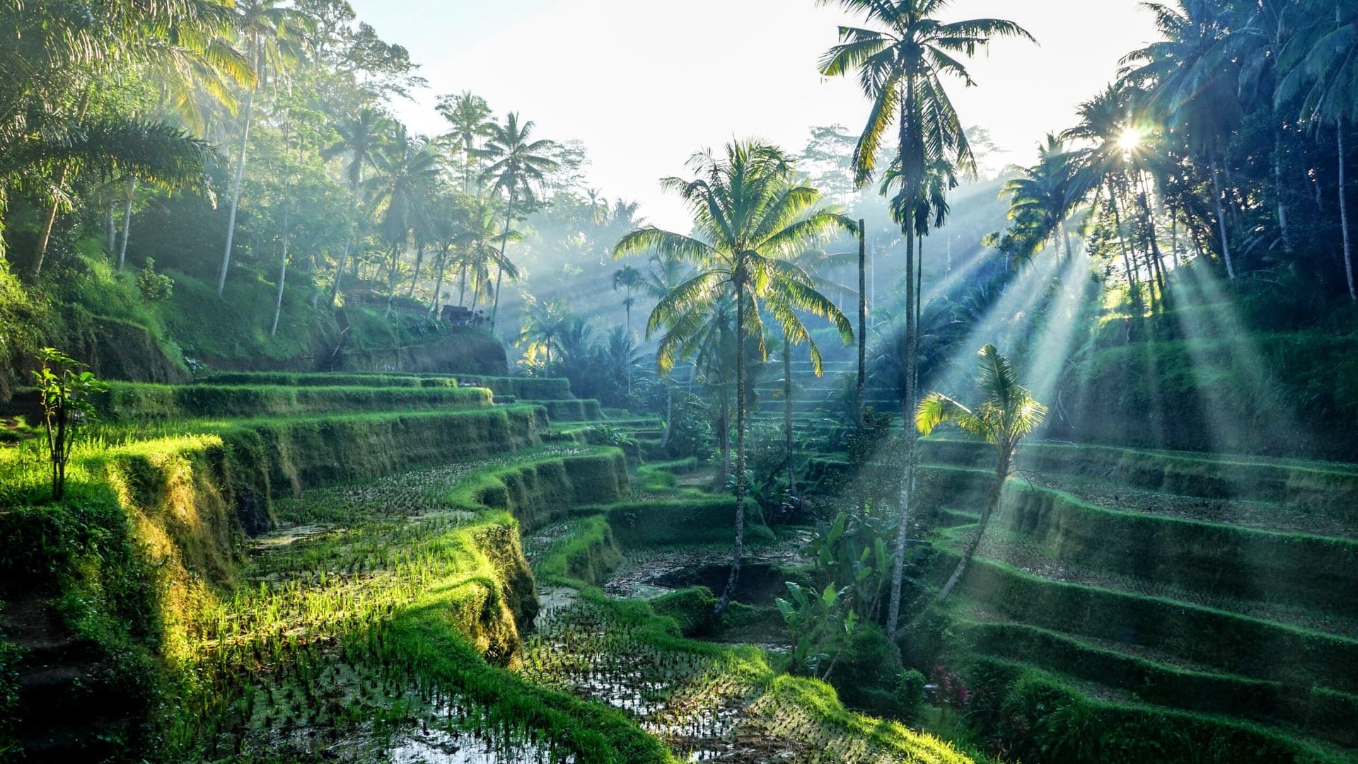 Destinations Articles - Bali Travel Guide
