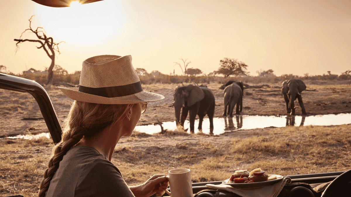 11 Best Modern Safari Experiences In The World