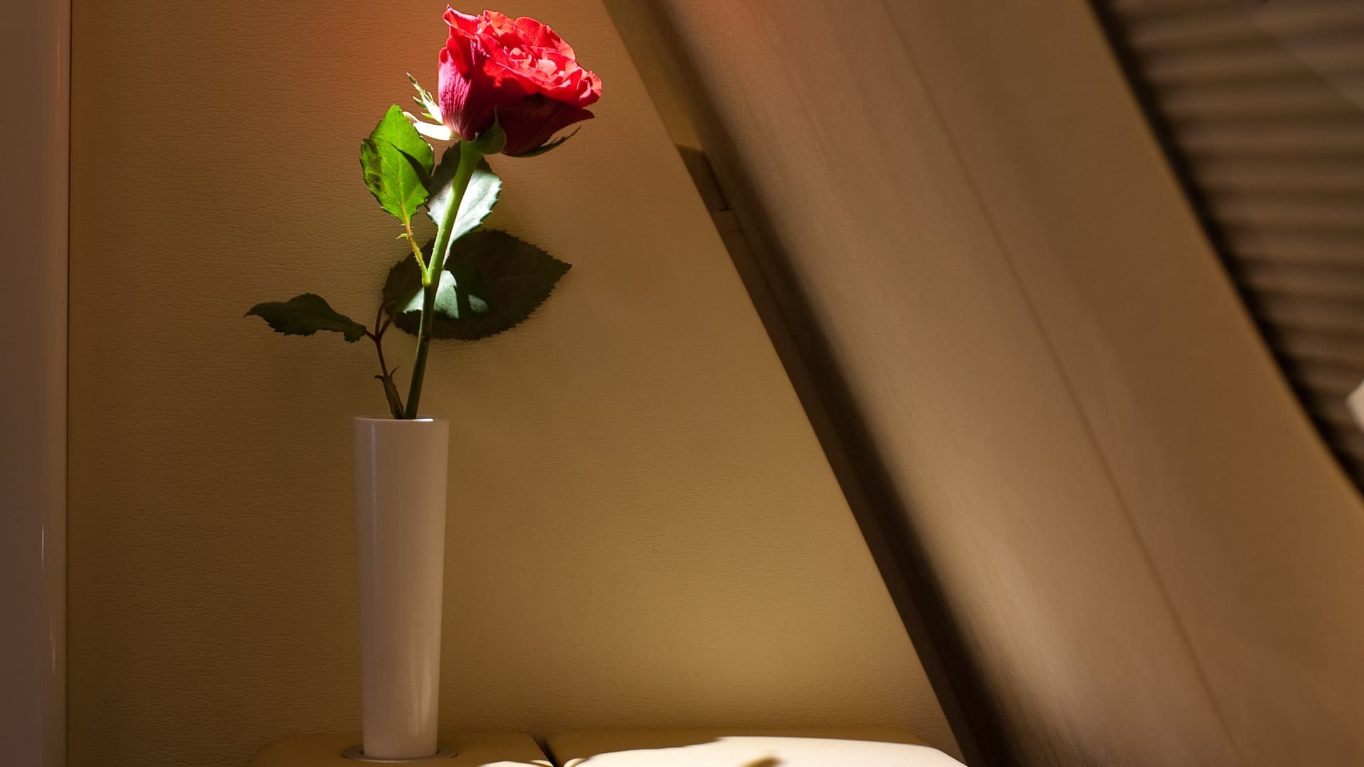 Airline review Amenities & Facilities - Lufthansa - 3