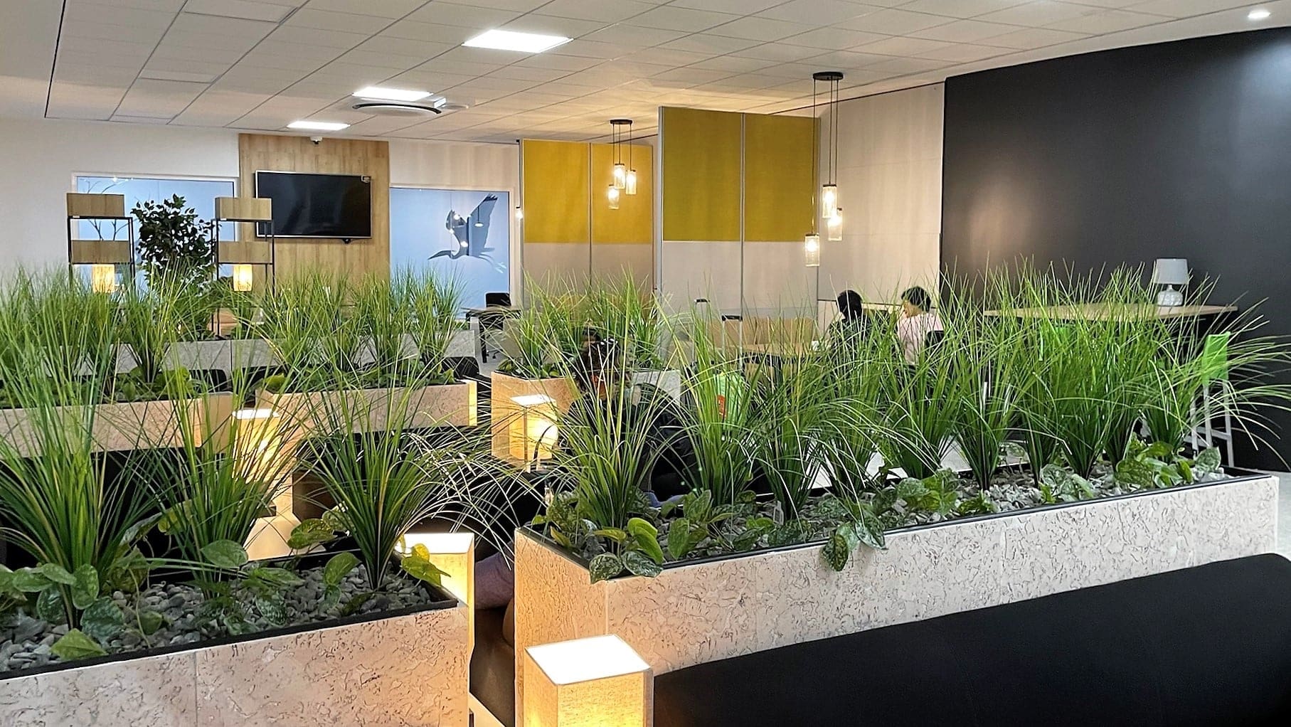 Airline review Airport experience - Surinam Airways - 8