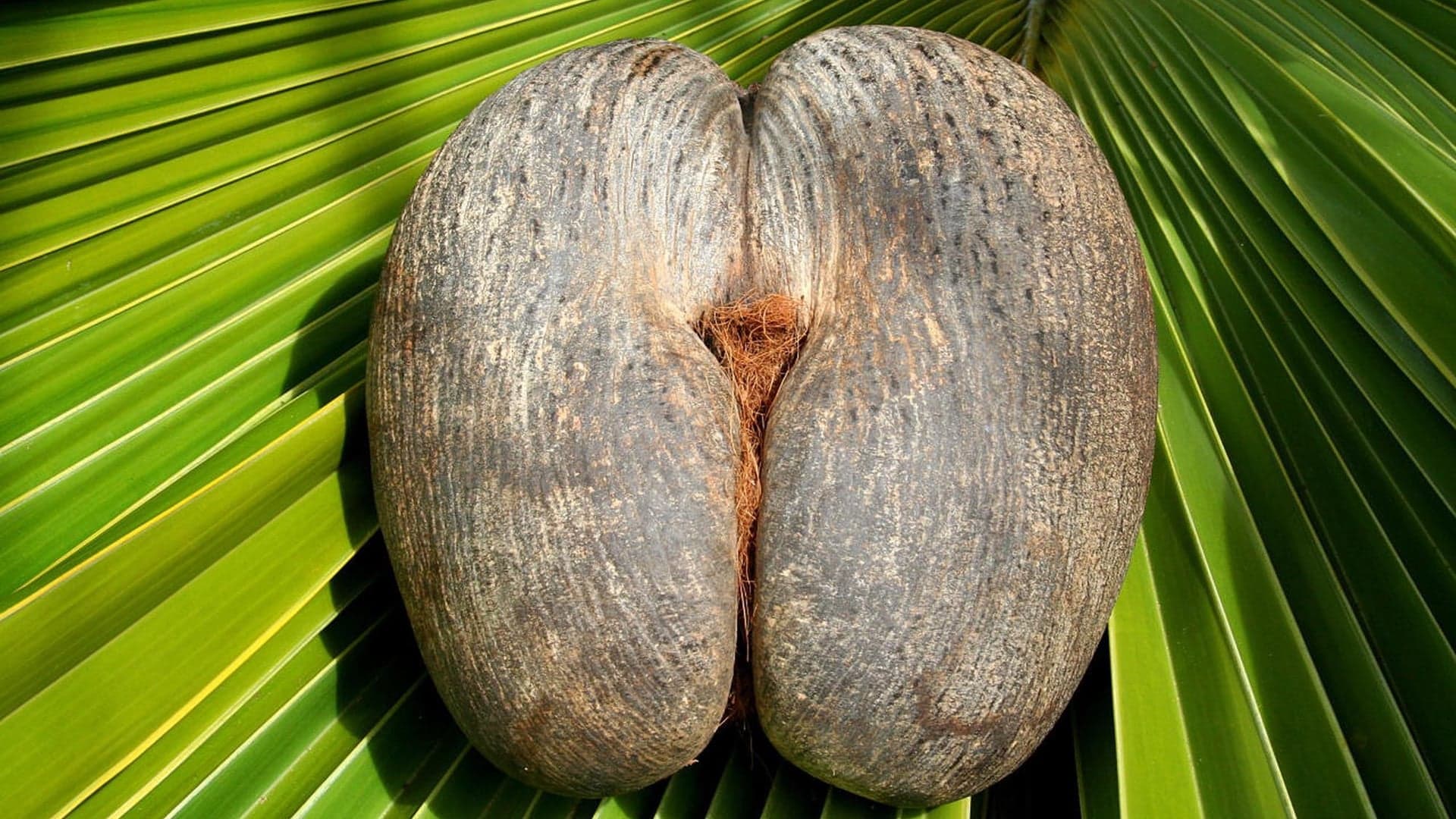 Destinations Articles - Seychelles Travel Guide