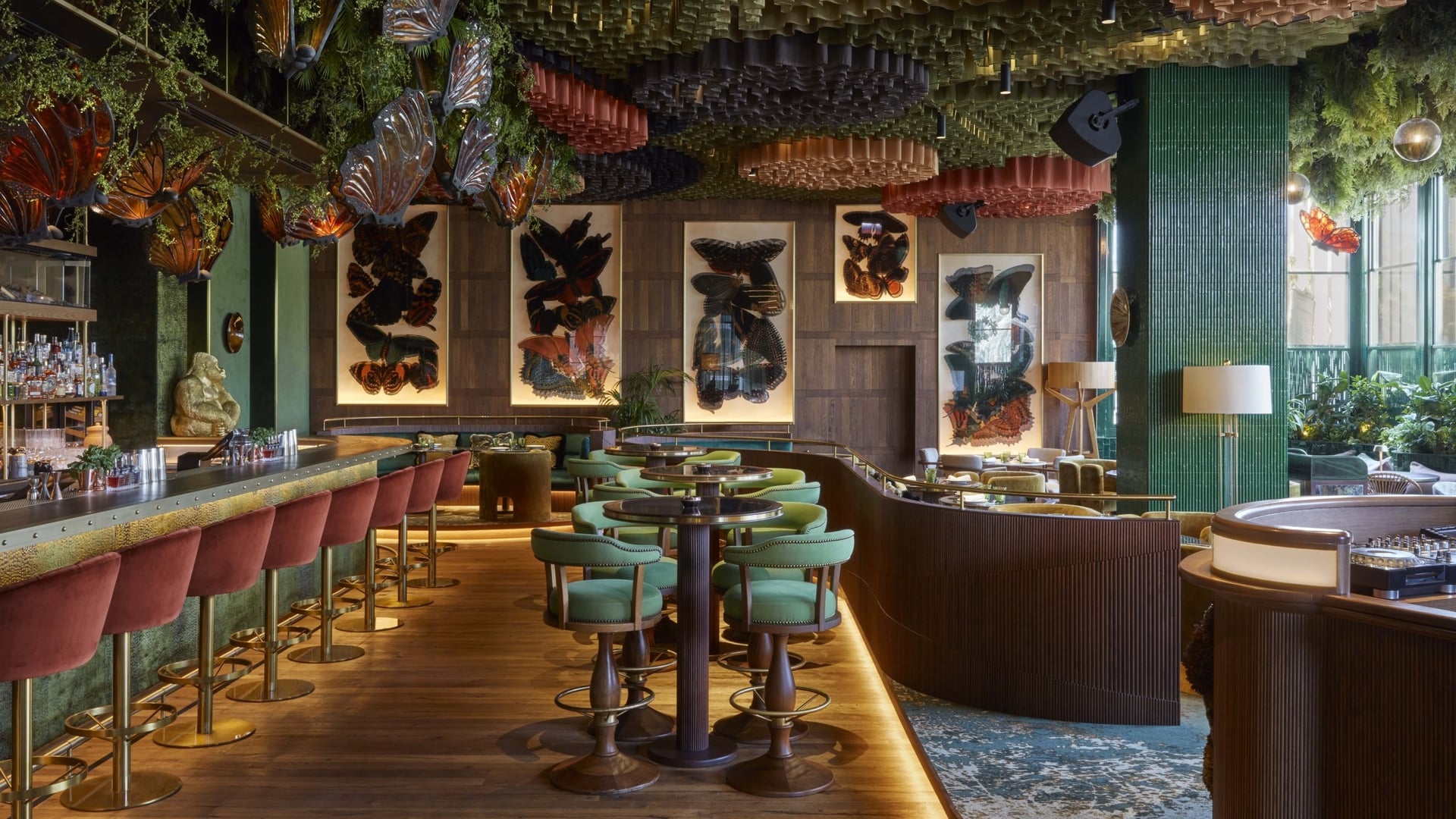 Amazonico from inside