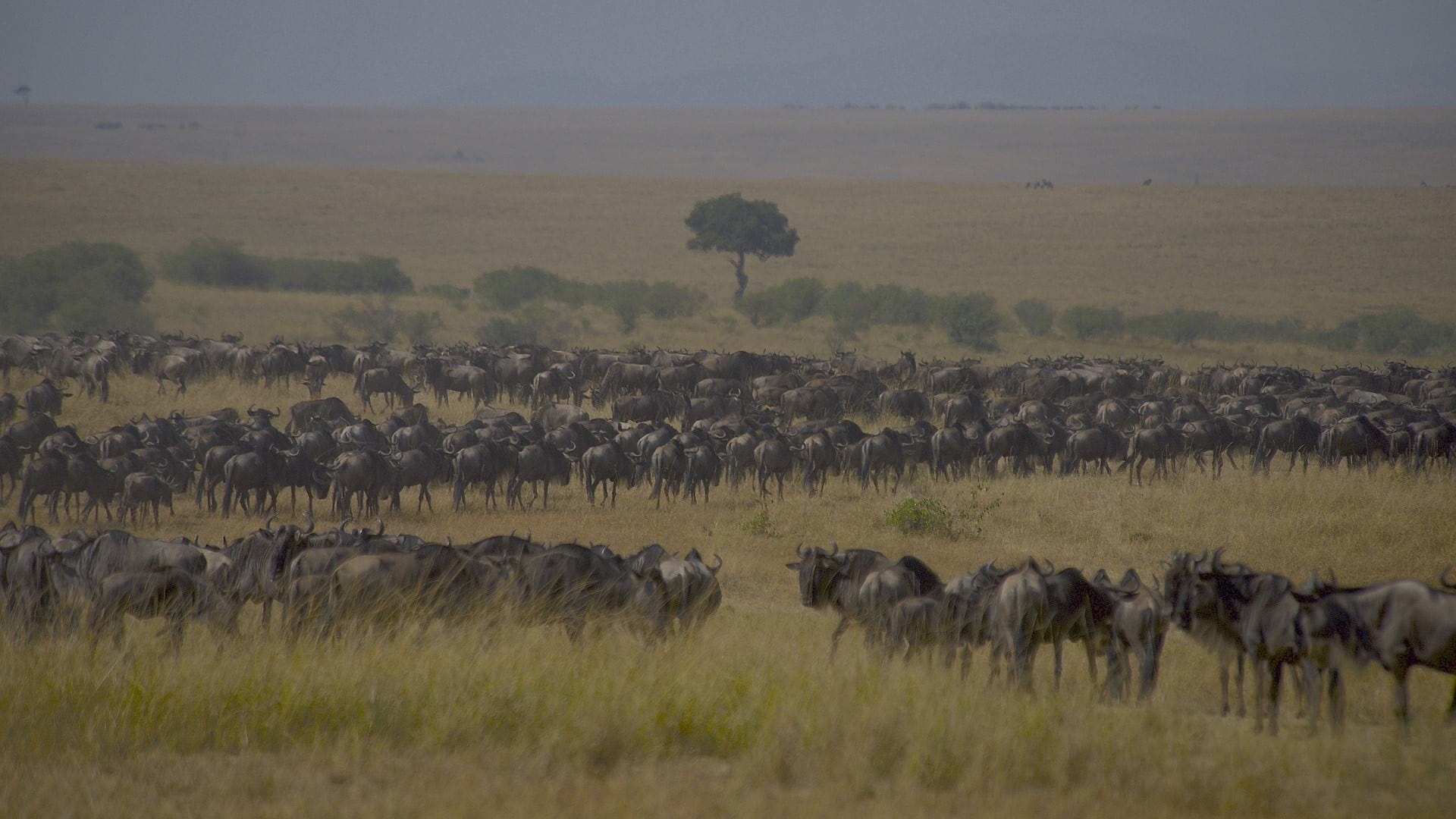 Lifestyle Toplists - 17 Bucket List Destinations - Wonders of the World!