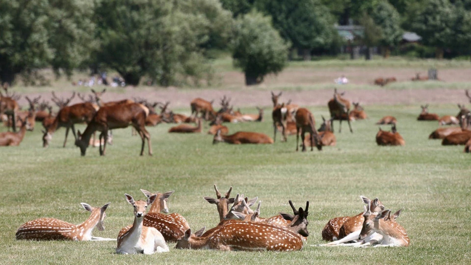 Destinations Articles - The London Travel Guide