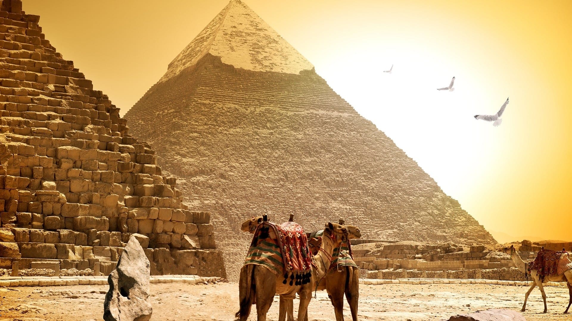 Cairo Travel Guide