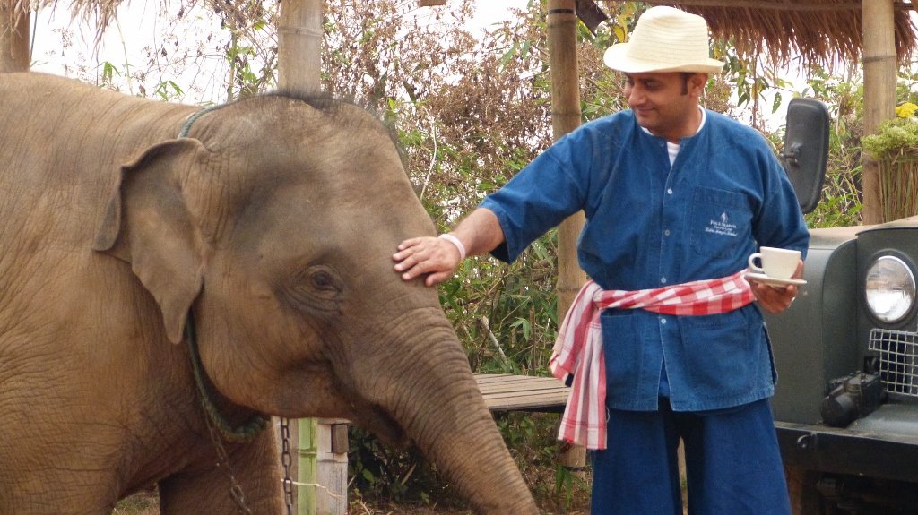 Hotels Articles - Anantara offers a unique virtual educational field trip