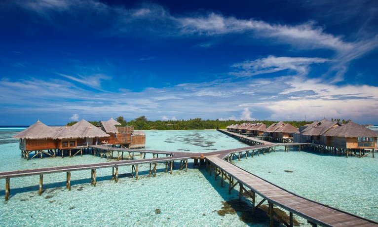 Verified hotel review - Gili Lankanfushi Maldives - 32