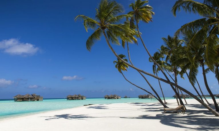 Verified hotel review - Gili Lankanfushi Maldives - 45