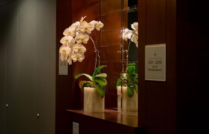 Verified hotel review - The St. Regis Hotel - 11