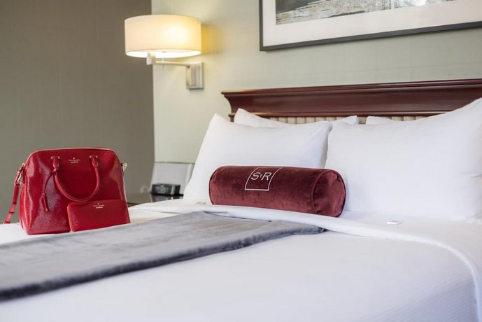 Verified hotel review - The St. Regis Hotel - 33