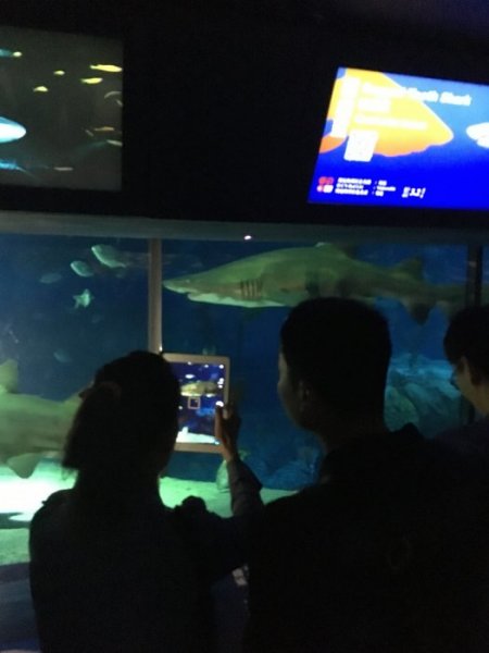 Medlemsrecension: Sex dagar i Hong Kong med en sexåring - 25