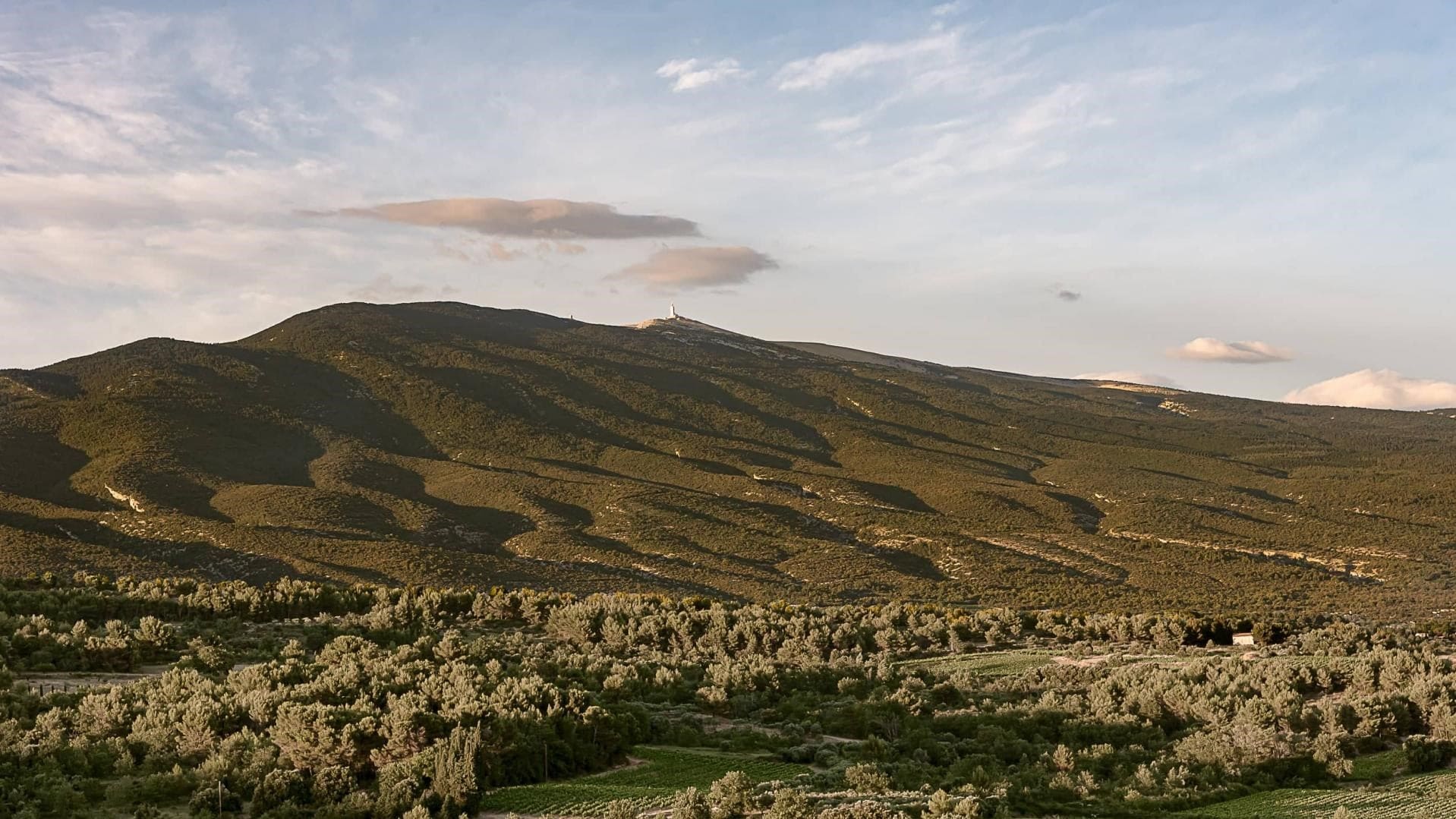 Hotel review What We Love' - Hôtel Crillon le Brave - Provence - 0