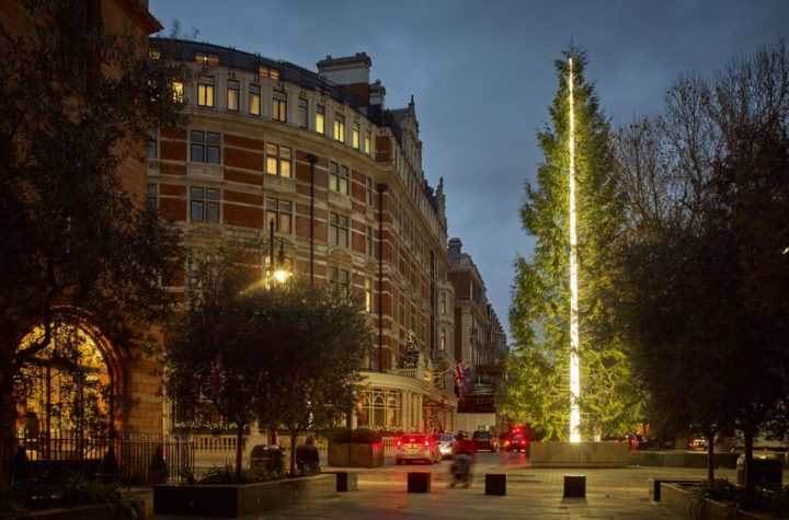 Antony Gormley's 17.5m tree for The Connaught