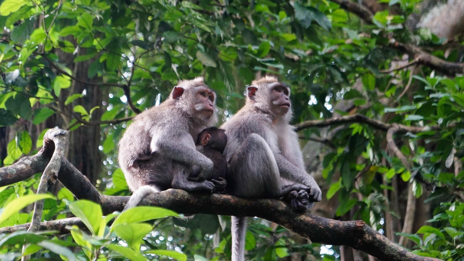 Destinations Articles - Bali Travel Guide