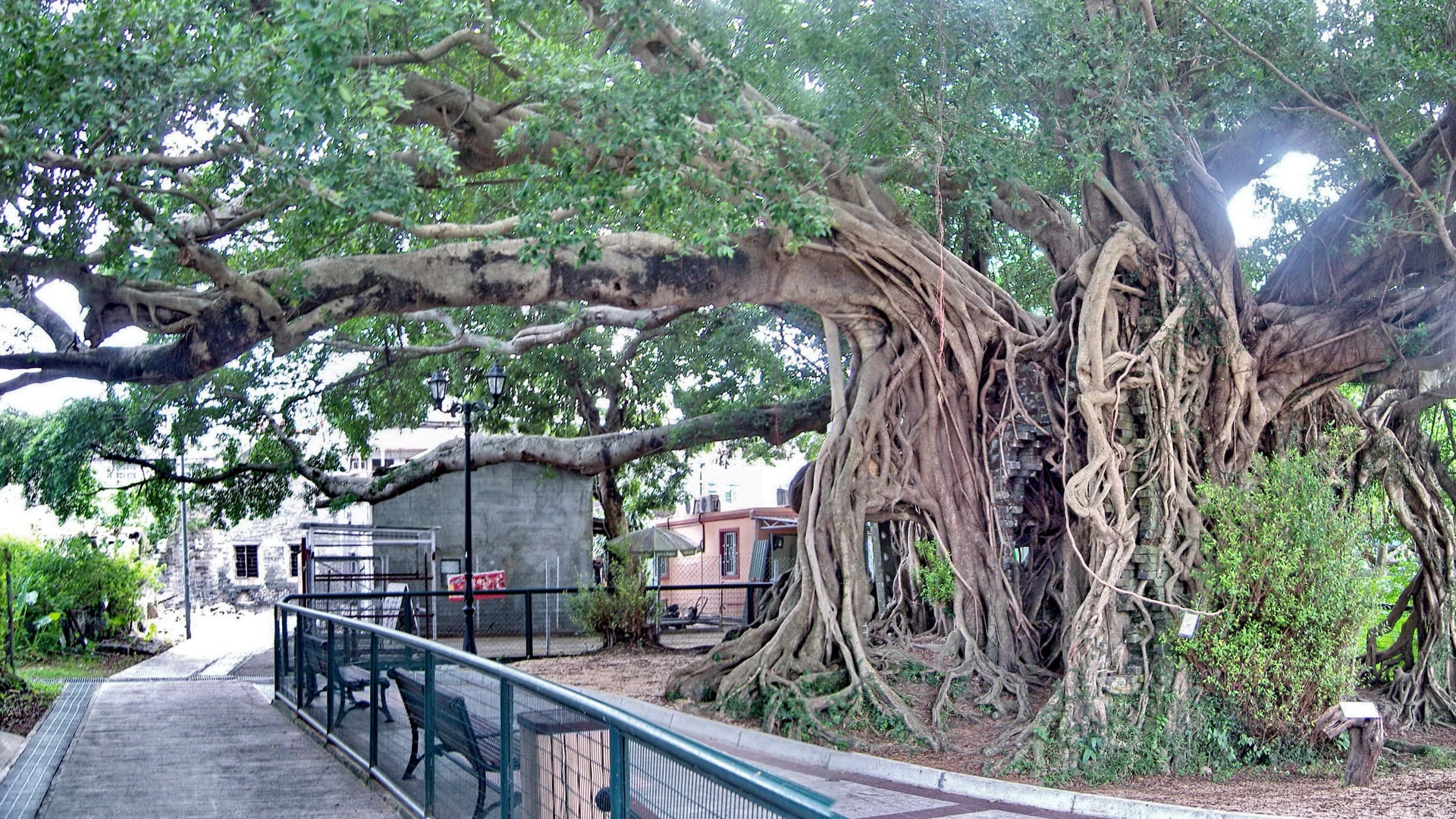 Destinations Articles - Hong Kong Travel Guide