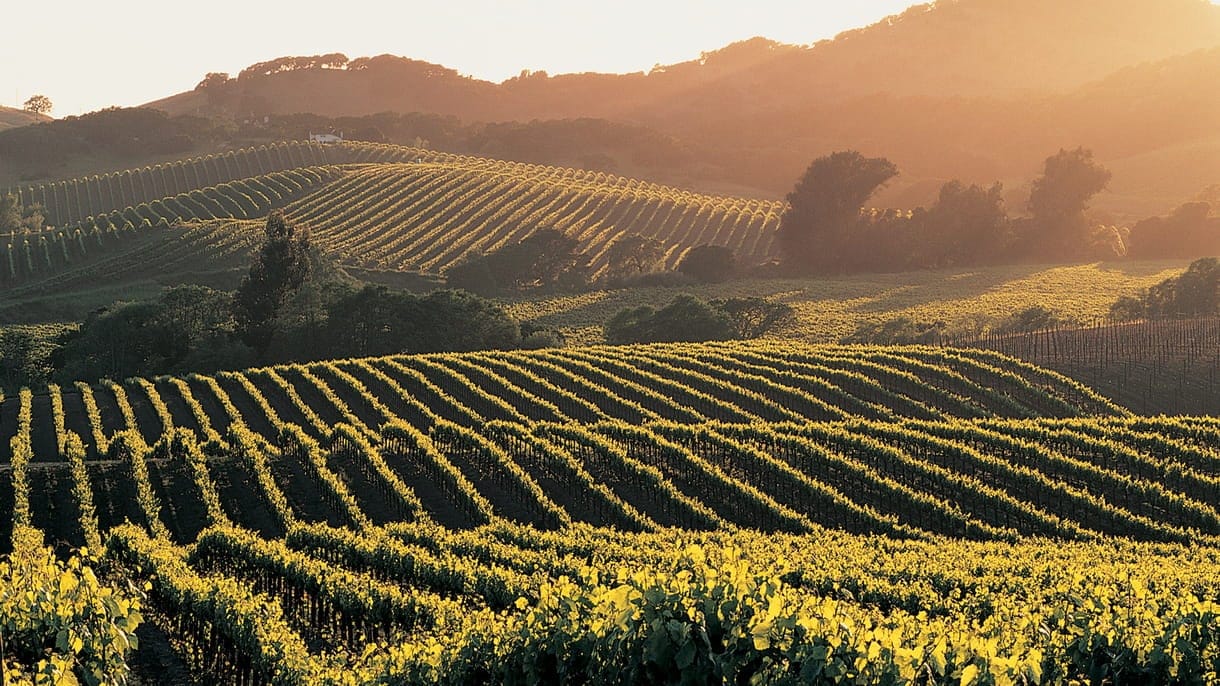 Hotels News - Hyatt Announces The Opening Of Its 1,000th Hotel