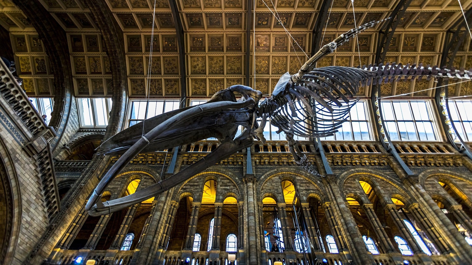 10 Best Museums in London