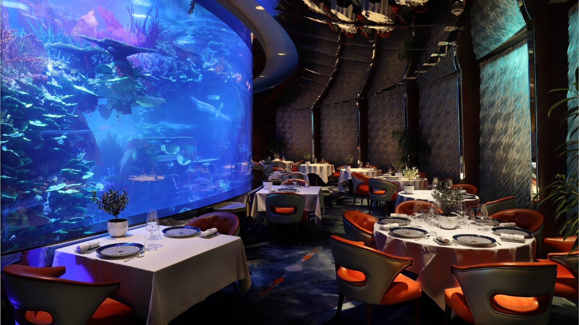 Ristorante l’Olivo  dubai