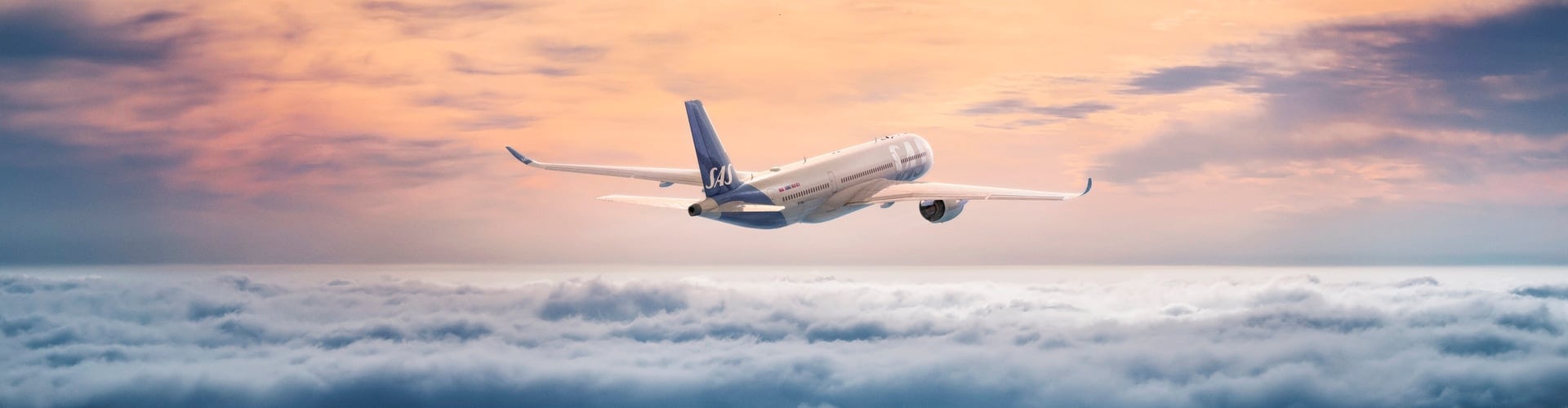 Review of SAS Business Class