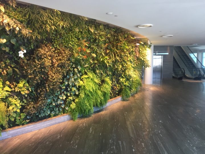 Medlemsrecension: 96 timmar, 23.534 miles, 1 hotellnatt, 3 long-haul Första klass, 2 short-haul Business class - 36