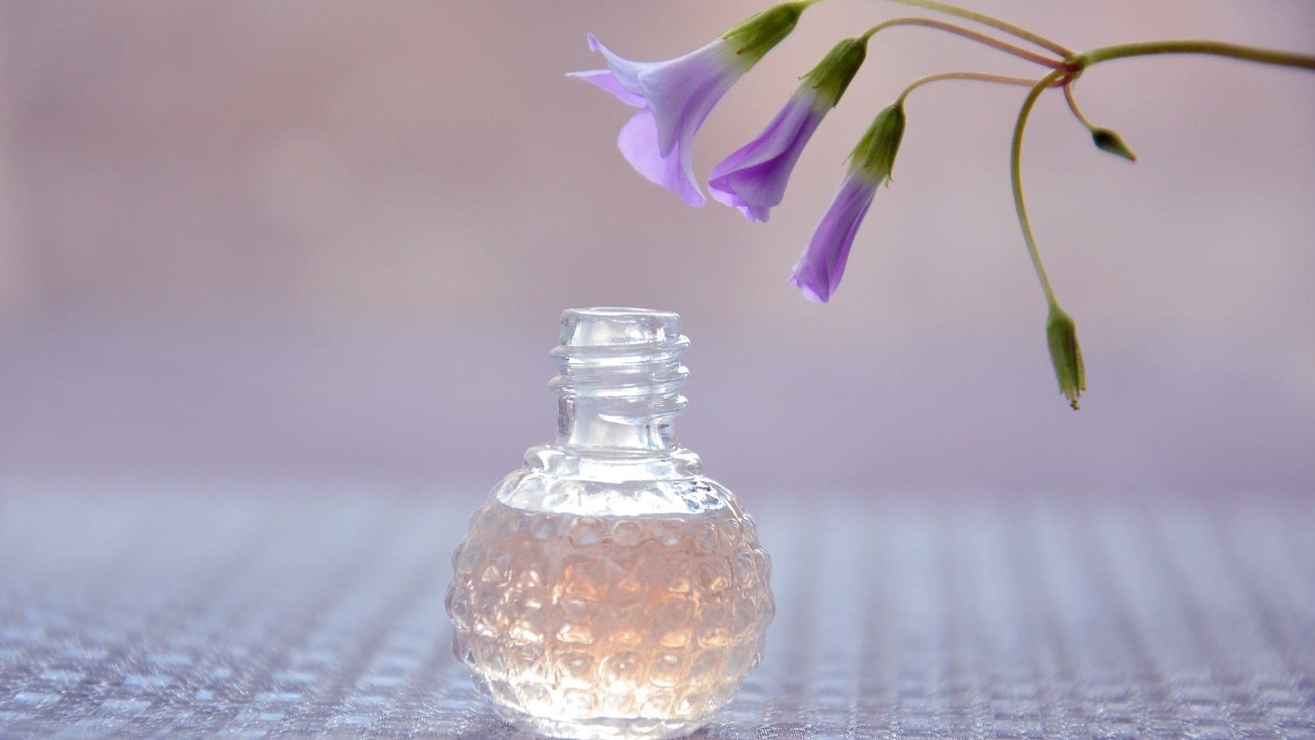 Destinations Articles - Singapore Travel Guide