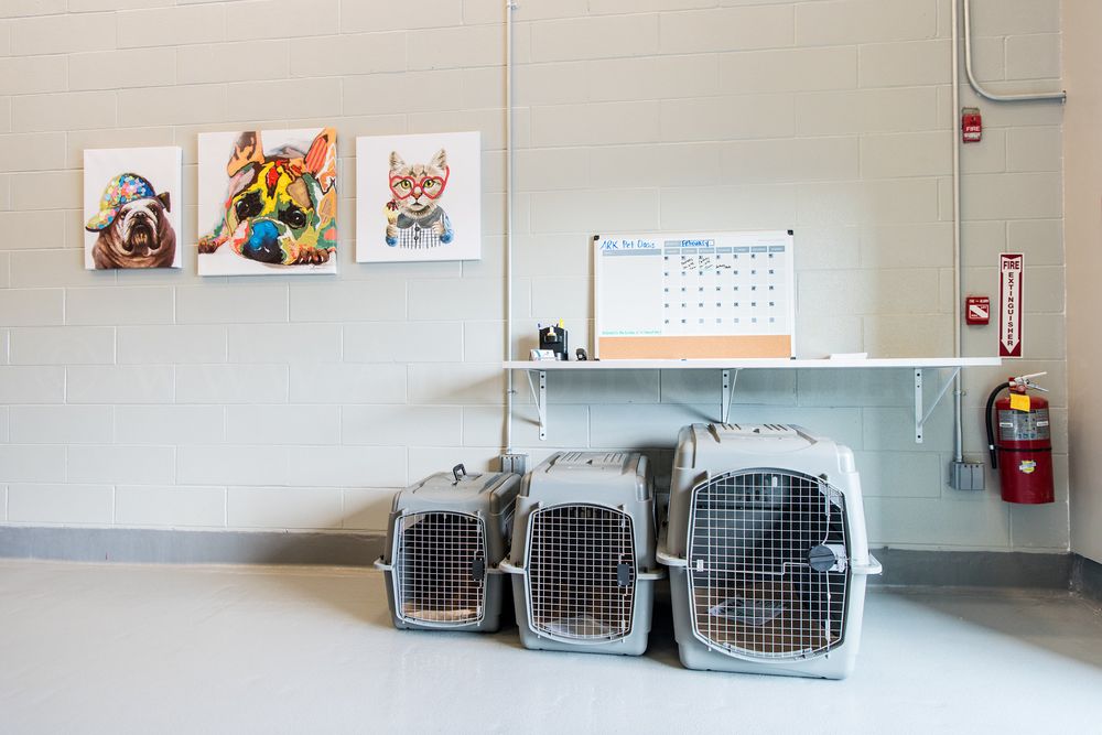 The World's First Private Animal Airport Terminal