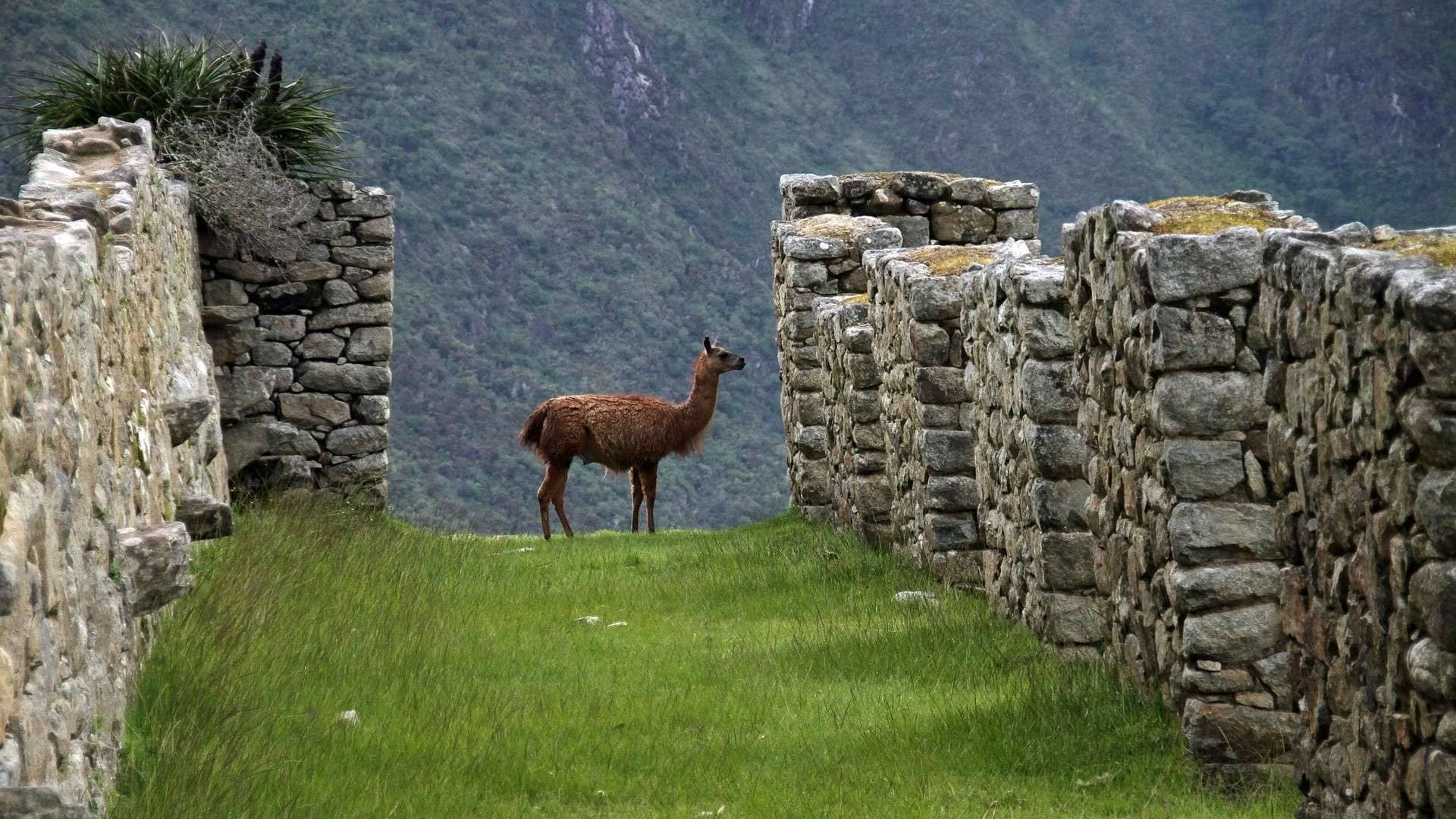 Lifestyle Toplists - 17 Bucket List Destinations - Wonders of the World!