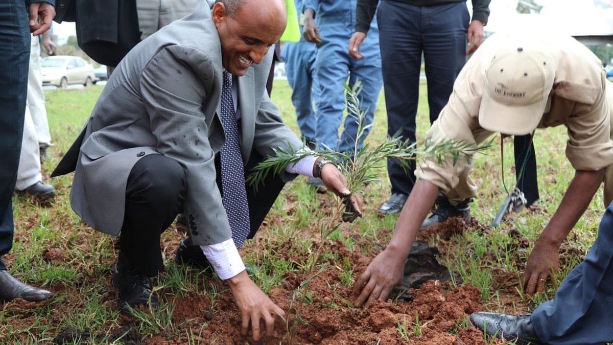 Airline review Sustainability - Ethiopian Airlines - 3