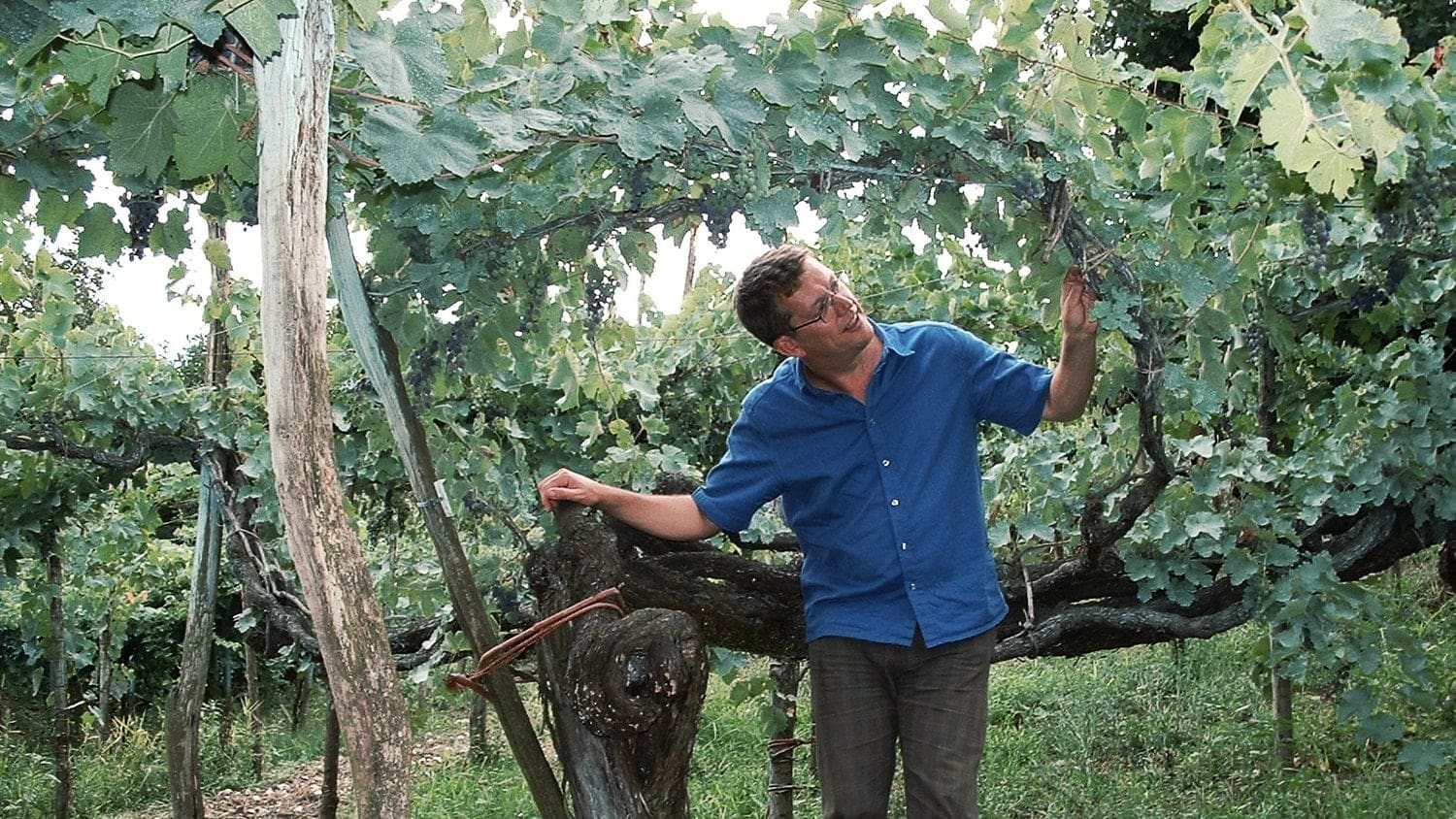 Peter McCombie in Champagne France